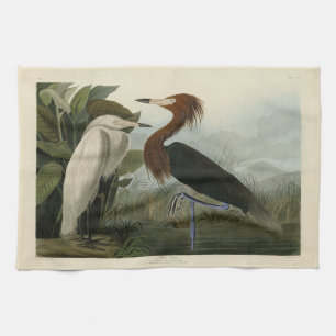 Lila Heron - von Audubons Vögeln Amerikas Geschirrtuch