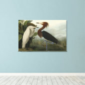 Lila Heron - von Audubons Vögeln Amerikas Leinwanddruck (Insitu (Holzboden))