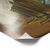 Lila Heron von John James Audubon Fotodruck (Ecke)