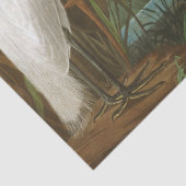 Lila Heron von John James Audubon Seidenpapier (Detail)