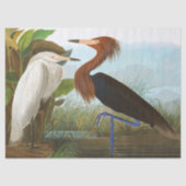 Lila Heron von John James Audubon Seidenpapier (Vorderseite)