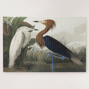 Lila Heron von Vögeln Amerikas Puzzle