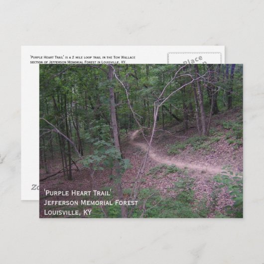 'Lila Herzweg' Postkarte (Vorne/Hinten)