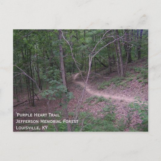 'Lila Herzweg' Postkarte (Vorderseite)