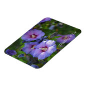 Lila Hibiskus Garden Blume Denken Sie an Sie Magnet (Linke Seite)