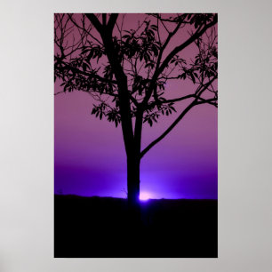 Lila Himmel Poster