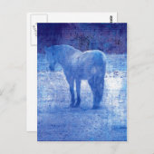 Lila Horse-Digitalbild Postkarte (Vorne/Hinten)