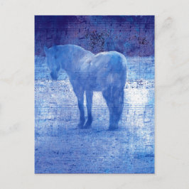 Lila Horse-Digitalbild Postkarte