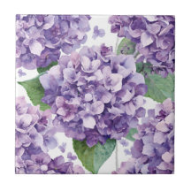 Lila Hortensie Wasserfarbe Floral Lavendelblüte