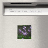 LILA HOSTA BELLS MAGNET (In Situ (Geschirrspüler))