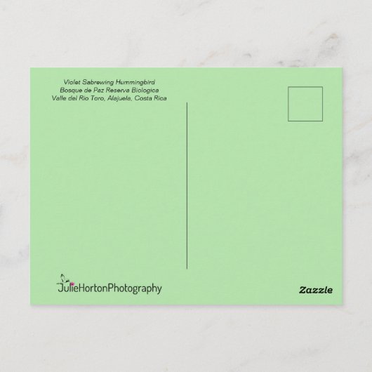 Lila Hummingvogel in einer grässlichen Pose Postkarte (Rückseite)