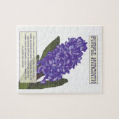Lila Hyacinth Puzzle (Horizontal)