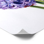 Lila Hyazinth Blume Art Print Poster (Ecke)
