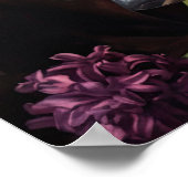 Lila Hyazinthe-Blume Art Print Poster (Ecke)