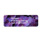 Lila Hydrangea (Vorne)