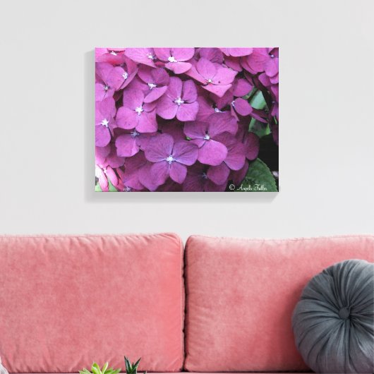 Lila Hydrangea Blooms Leinwand (Insitu (Wohnzimmer))