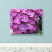 Lila Hydrangea Blooms Leinwand (Insitu (Holzboden))