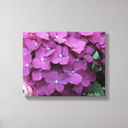 Lila Hydrangea Blooms Leinwand (Vorderseite)