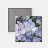 Lila Hydrangea Blume Square Magnet (Vorderseite/Rückseite)