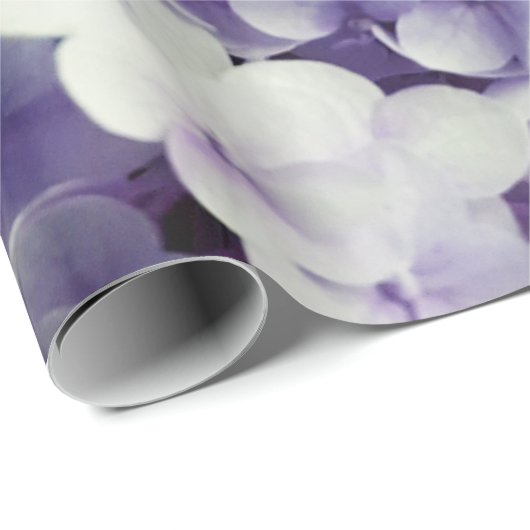 Lila Hydrangea-Blumenhintergrund Geschenkpapier (Rolleneckpunkt)