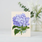 Lila Hydrangea Botanische Printwerbung Postkarte (Stehend Vorderseite)