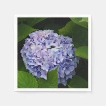 Lila Hydrangea-Foto