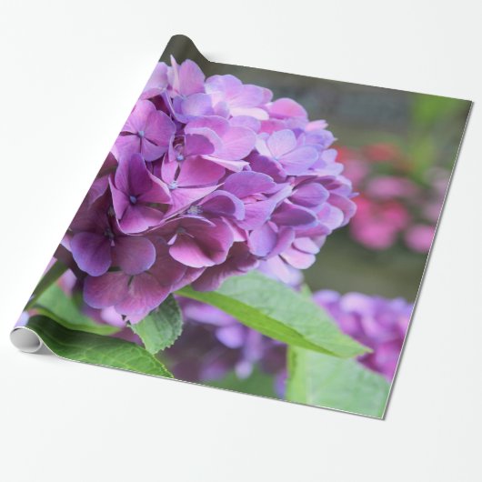 Lila Hydrangea-Glossopapier Geschenkpapier (Ungerollt)