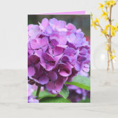 Lila Hydrangea-Grußkarte Karte (Gelbe Blume)