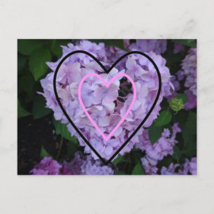 Lila Hydrangea in Herzkrankheiten Postkarte