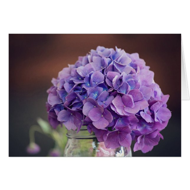 Lila Hydrangea in Mason Jar Fotografie (Vorderseite (Horizontal))