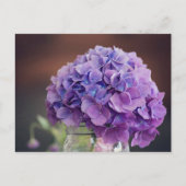 Lila Hydrangea in Mason Jar Fotografie Postkarte (Vorderseite)