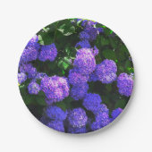 Lila Hydrangea-Papierplatte Pappteller (Vorderseite)