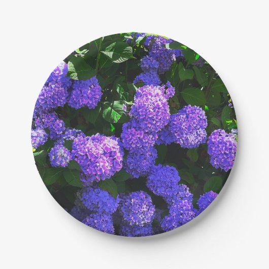 Lila Hydrangea-Papierplatte Pappteller (Vorderseite)