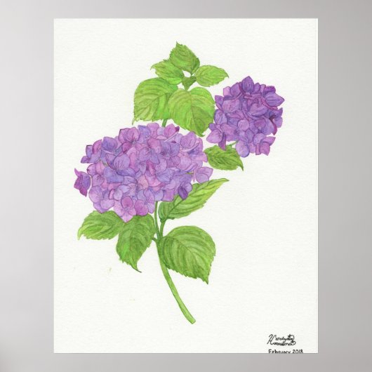 Lila Hydrangea Poster (Vorne)