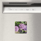 Lila Hydrangea-Schattierungen Magnet (In Situ (Geschirrspüler))