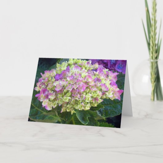 Lila Hydrangea Sweet Friend Karte (Vorderseite)