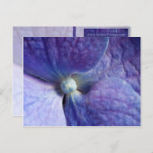 Lila Hydrangea-Veranstaltung und Hochzeitsankündig Ankündigungspostkarte (Vorne/Hinten)