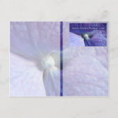 Lila Hydrangea-Veranstaltung und Hochzeitsankündig Ankündigungspostkarte (Rückseite)