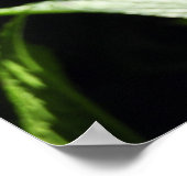 Lila Hydrangeas-Blume Poster (Ecke)