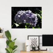 Lila Hydrangeas-Blume Poster (Heimbüro)