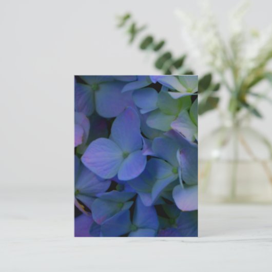 Lila Hydrangeas-Blume Postkarte (Stehend Vorderseite)