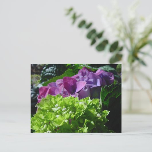 Lila Hydrangeas-Postkarte Postkarte (Stehend Vorderseite)