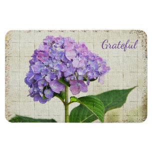 Lila Hydrangee Dankbarkeit Magnet