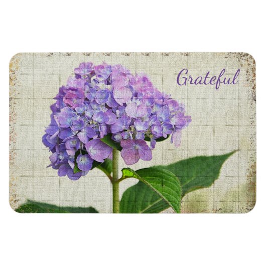 Lila Hydrangee Dankbarkeit Magnet (Horizontal)
