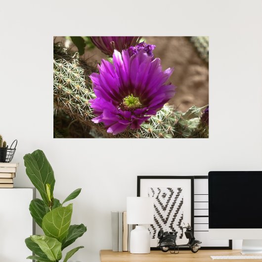 Lila Igel Poster (Heimbüro)