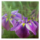 Lila Ire in Motion Fliese (Vorderseite)