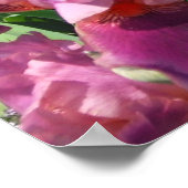 Lila Ire Spring Floral Poster (Ecke)