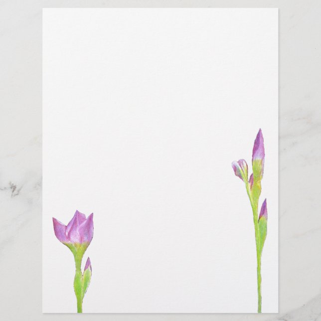 Lila Iris (Vorderseite)