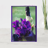 Lila Iris 2914xc - passen Sie jede Gelegenheit an Karte (Vorderseite)