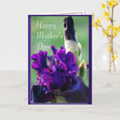 Lila Iris 2914xc - passen Sie jede Gelegenheit an Karte (Gelbe Blume)